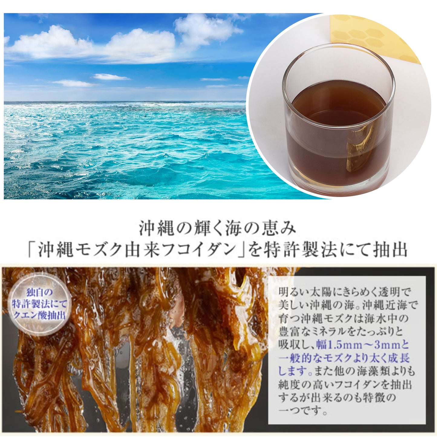 プレミアムマルチフコイダン MULTIFUCOIDAN　PREMIUM